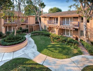 Hotel Dolphins Cove Resort