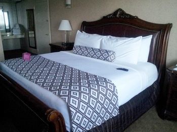 Hotel Crowne Plaza Houston-reliant Park