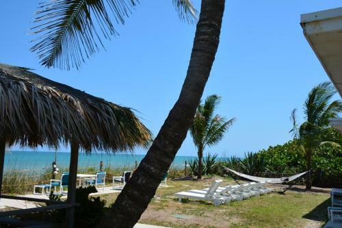 Oceanfront Sea Scape Motel