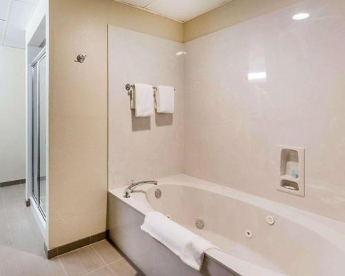 Hotel Comfort Inn & Executive Suites Naples