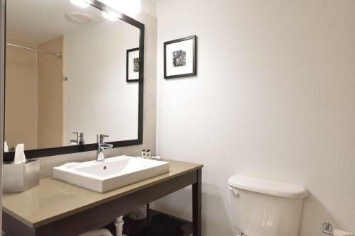 Hotel Country Inn & Suites Ocala