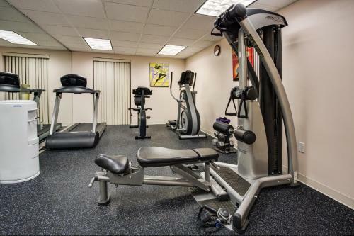 Holiday Inn Express Hotel & Suites Tampa-oldsmar