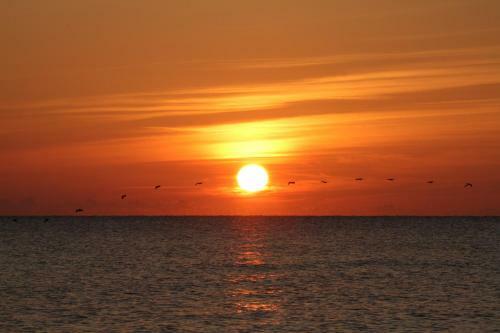 Motel Oceanfront Inn And Suites - Ormond