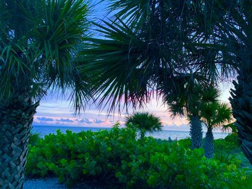 Hotel Beachview Cottages