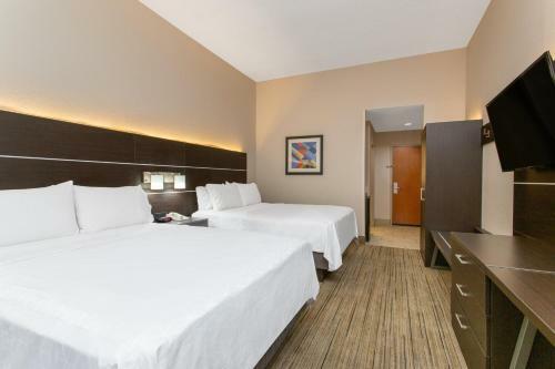 Hotel Holiday Inn Express Silver Springs - Ocala
