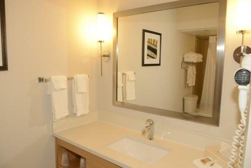 Holiday Inn Hotel & Suites Tampa North