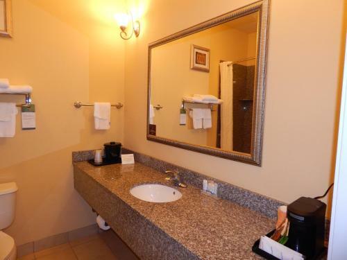 Hotel Sleep Inn & Suites At Kennesaw State University
