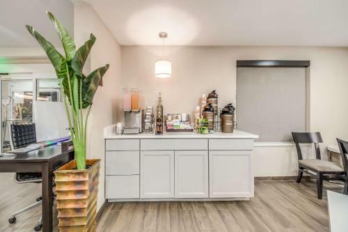 Hotel Sleep Inn & Suites Kingsland