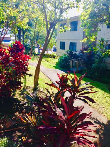 Apartamento Palani Condo