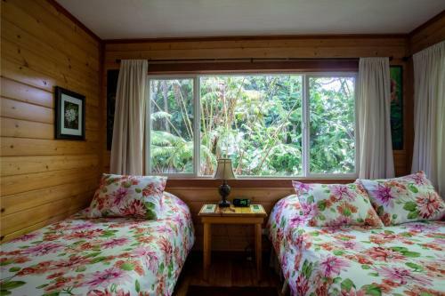 Alas Del Kealoha By Hawaii Volcano Vacations