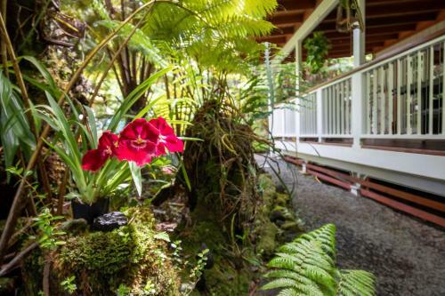 Alas Del Kealoha By Hawaii Volcano Vacations
