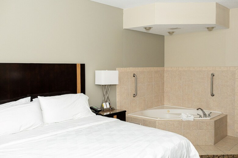 Hotel Holiday Inn Effingham