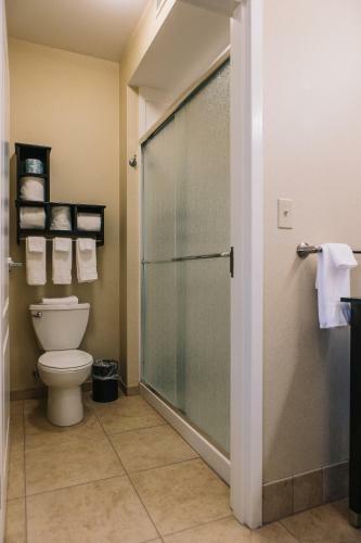 Hotel Hampton Inn & Suites Effingham