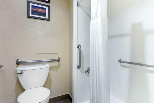 Hotel Comfort Inn Hoffman Estates ? Schaumburg