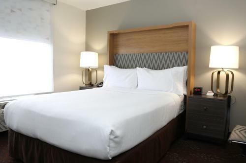 Hotel Holiday Inn O'hare Area