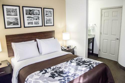 Hotel Sleep Inn Tinley Park