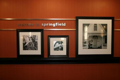 Hotel Hampton Inn & Suites, Springfield Sw