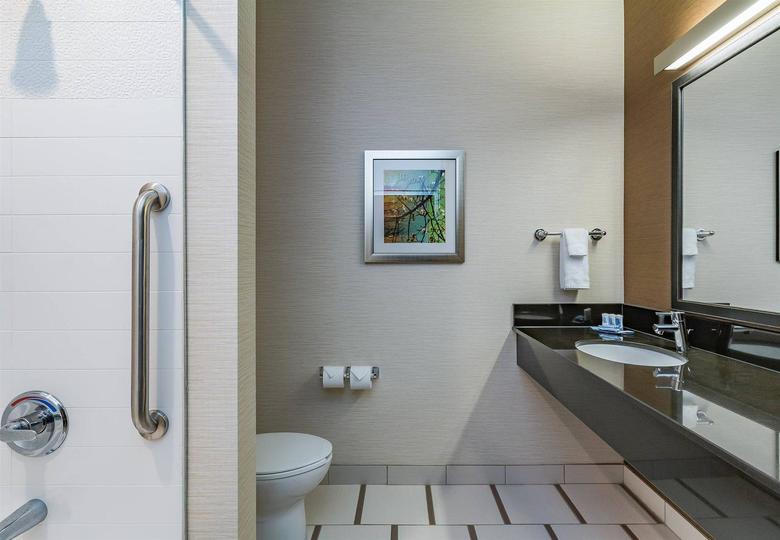 Hotel Fairfield Inn & Suites By Marriott Elkhart