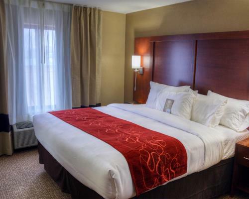 Hotel Comfort Suites Plymouth