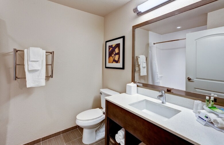 Hotel Holiday Inn Express & Suites Manhattan