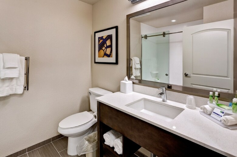 Hotel Holiday Inn Express & Suites Manhattan