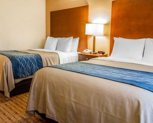 Hotel Comfort Inn And Suites Franklin