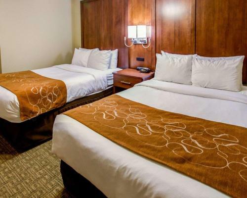 Hotel Comfort Suites Georgetown
