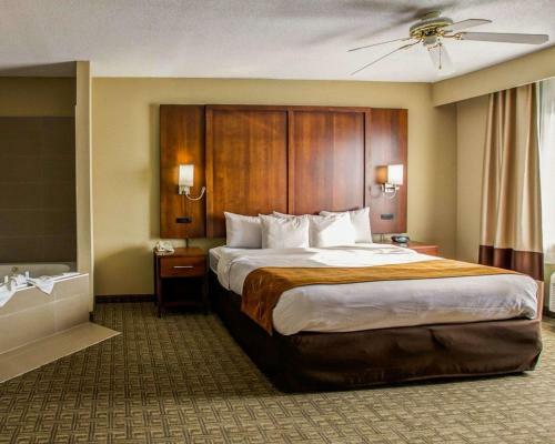Hotel Comfort Suites Georgetown