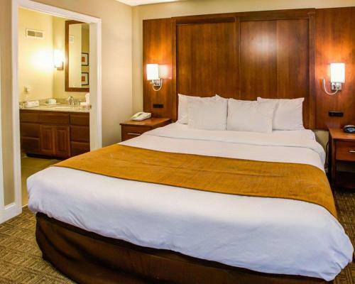 Hotel Comfort Suites Georgetown