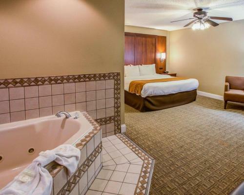 Hotel Comfort Suites Georgetown
