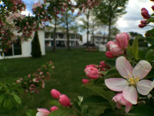 Ocean Acres Motel