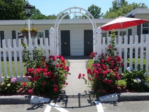 Claddagh Motel & Suites