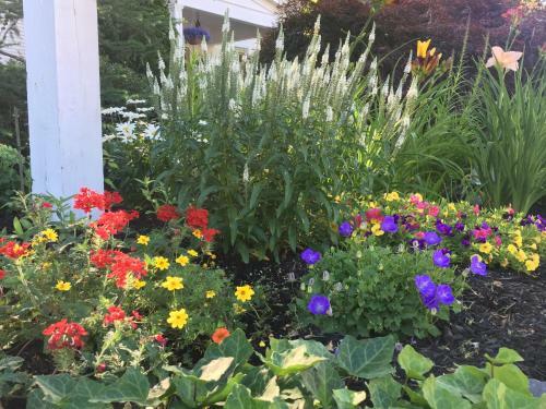 Bed & Breakfast Black Boar Inn Ogunquit