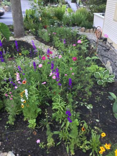 Bed & Breakfast Black Boar Inn Ogunquit
