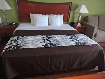 Hotel Sleep Inn & Suites Laurel