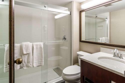 Hotel Comfort Inn & Suites West Springfield