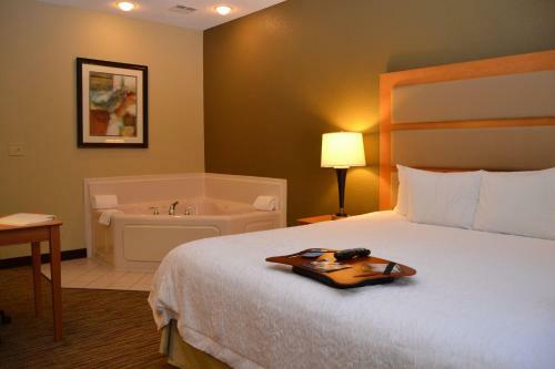 Hotel Hampton Inn & Suites Kalamazoo-oshtemo