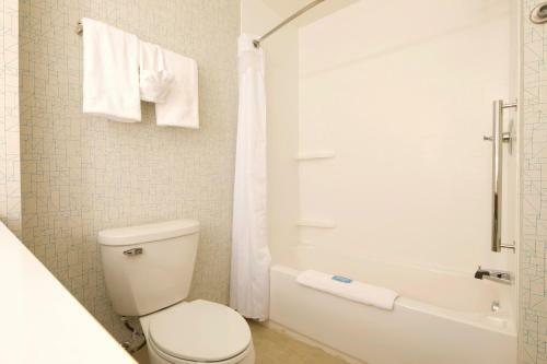 Hotel Holiday Inn Express Rochester Hills