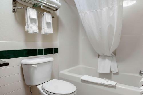 Hotel Comfort Inn Rochester