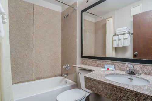 Hotel Microtel Inn And Suites Rochester
