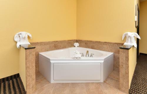 Hotel Comfort Suites Rochester