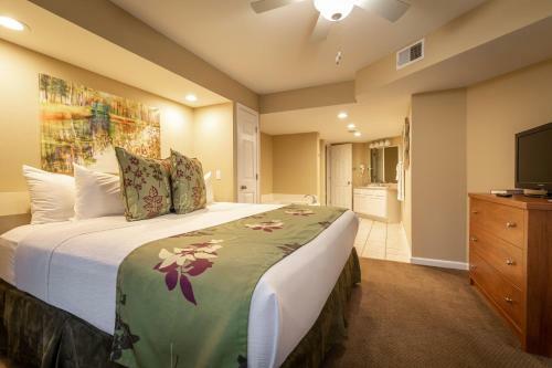Hotel Carriage Place By Capital Vacations
