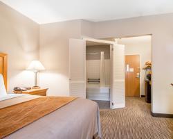 Hotel Comfort Inn Springfield