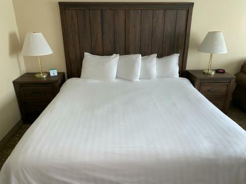 Hotel Yellowstone Lodge