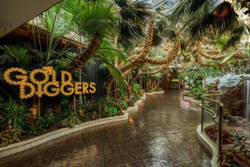 Hotel Golden Nugget Laughlin
