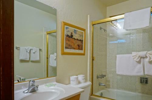 Tahoe Village 315d