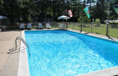 Motel Pine Valley Cabins