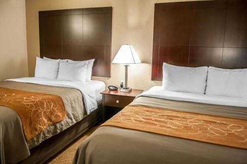 Hotel Comfort Suites Albuquerque