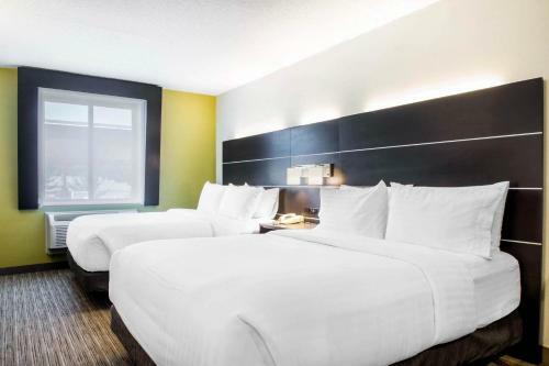 Hotel Comfort Inn & Suites Albany