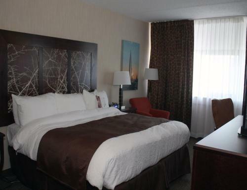 Hotel Adam's Mark Buffalo Niagara